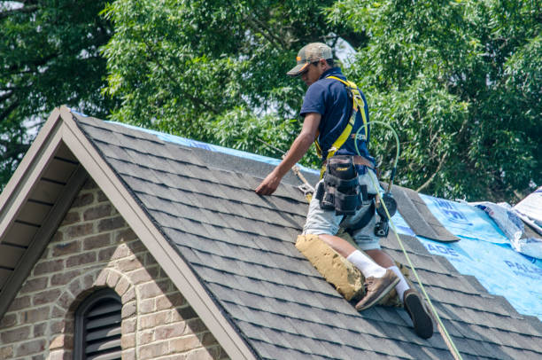 Best Roof Repair Services  in Fairfield, IL