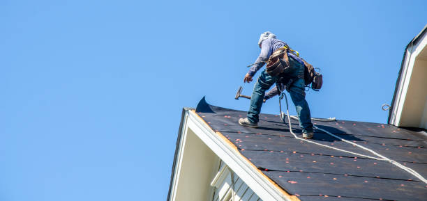 Roof Gutter Cleaning in Fairfield, IL